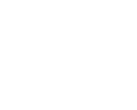 Raise The Flag